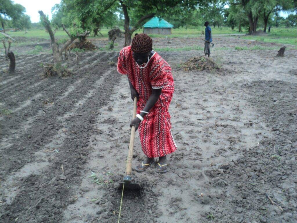 women doing farming in fields
