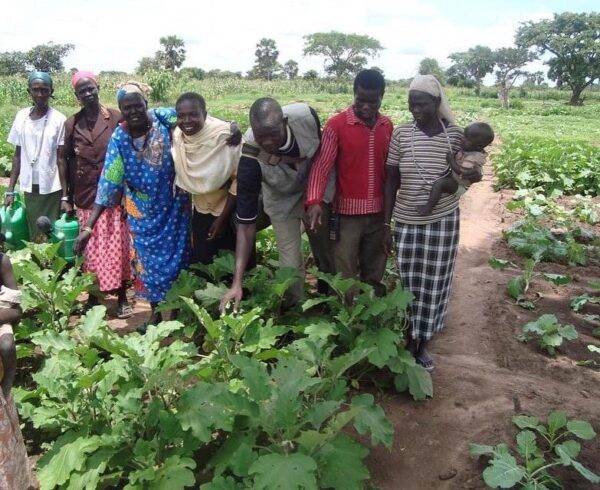 Team visiting Fields.